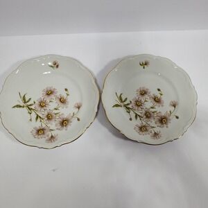 Mitterteich Bavaria Daisy Bell Salad Plate White Gold Trim Scalloped Edge‎ Set 2